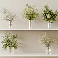 Transparent Glass Vases With Green Plants And Branches On Light Shelves Against Beige Wall