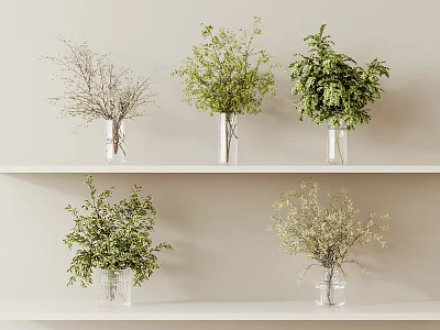 Transparent Glass Vases With Green Plants And Branches On Light Shelves Against Beige Wall 3d model