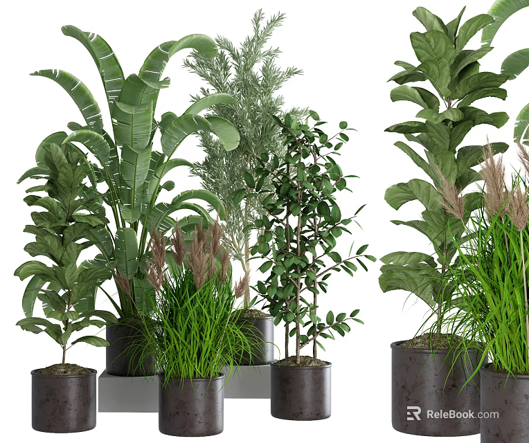 Various Bonsai Potted Plants With Different Green Leaves In Stylish Dark Pots For Home Decoration 3d model 