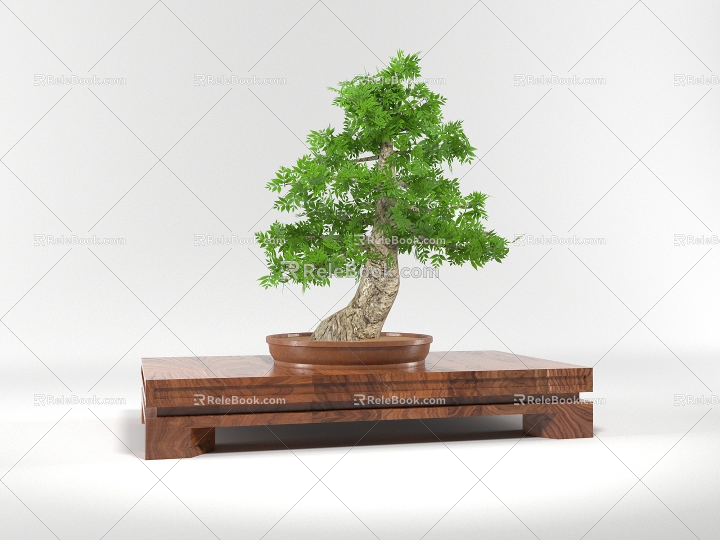 Modern Bonsai Bonsai Welcome Pine 3d model