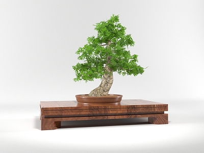 Modern Bonsai Welcome Pine 3d model