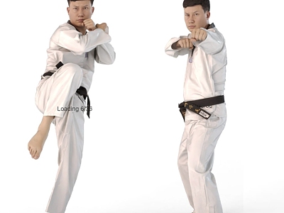 Taekwondo model