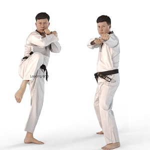 Taekwondo 3d model