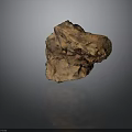 Unique Natural Wooden Stone With Brown Texture Rough Surface And Organic Form