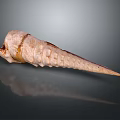 Detailed Spiral Organ With Hair Like Texture And Smooth Light Brown Surface