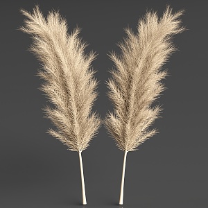 hay flowers grass hay thatched grass weeds grass reed dry branch 3d model