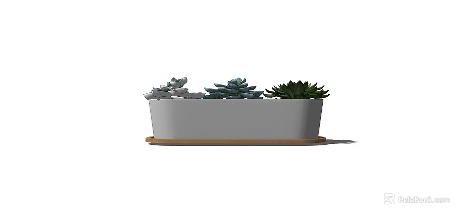 Various Succulent Plants in Rectangular White Planter with Wooden Base for Indoor Decor 3d model 