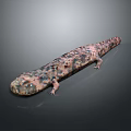 Spotted Salamander With Long Body And Brown Pink Spots On Dark Background