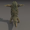 Crocodile Reptile Standing With Open Mouth And Shadow On Gray Background