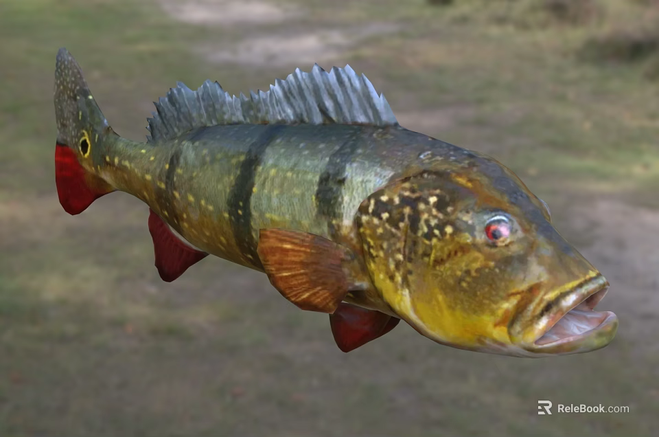 Colorful Tropical Freshwater Fish With Green Yellow Body Black Stripes Red Fins And Red Eyes 3d model 