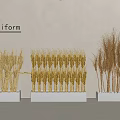 Poliform Golden Wheat Stalk Arrangements On White Decorative Bases For Modern Interior