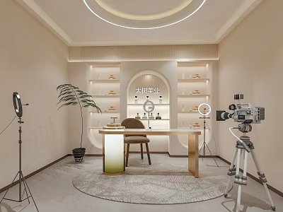 Modern Professional Studio Setup With Table Bookshelf Plant And Camera Equipment 3d model