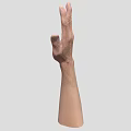 Man's Extended Hand Palm Showing Skin Texture And Finger Structure
