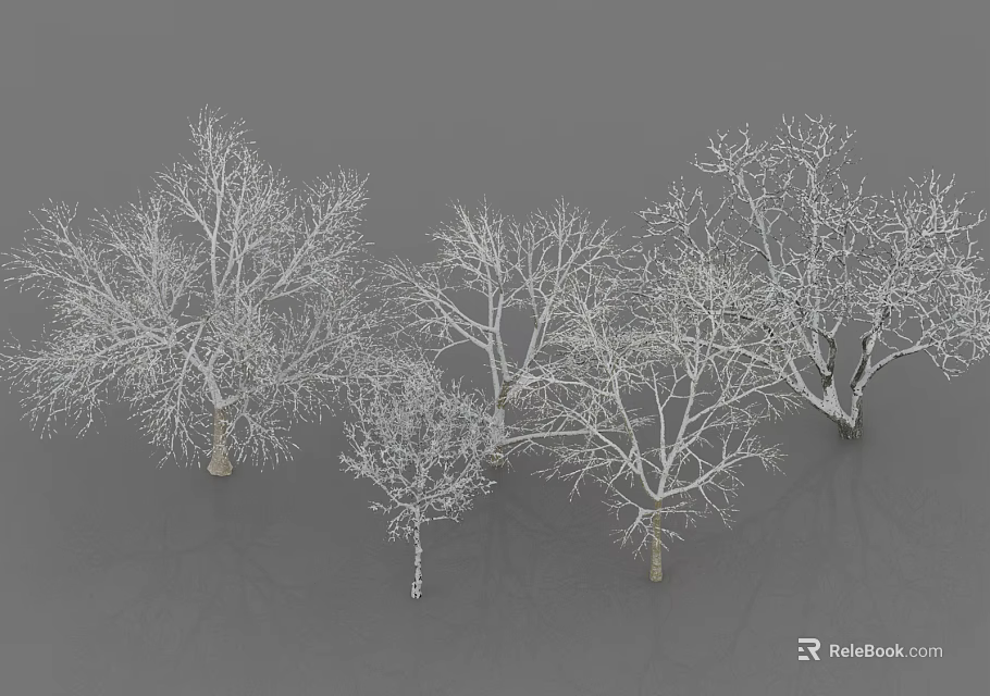 Snow Covered Deciduous Trees With Bare Trunks And Branches On Gray Background 3d model