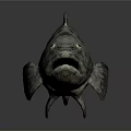 Realistic Gray Fish Sculpture With Detailed Texture On Dark Reflective Surface