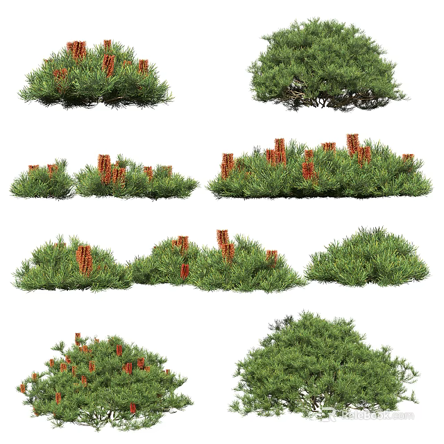 Various Green Leafy Plants With Red Berries In Garden Arrangements 3d model 