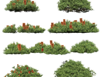 Various Green Leafy Plants With Red Berries In Garden Arrangements 3d model