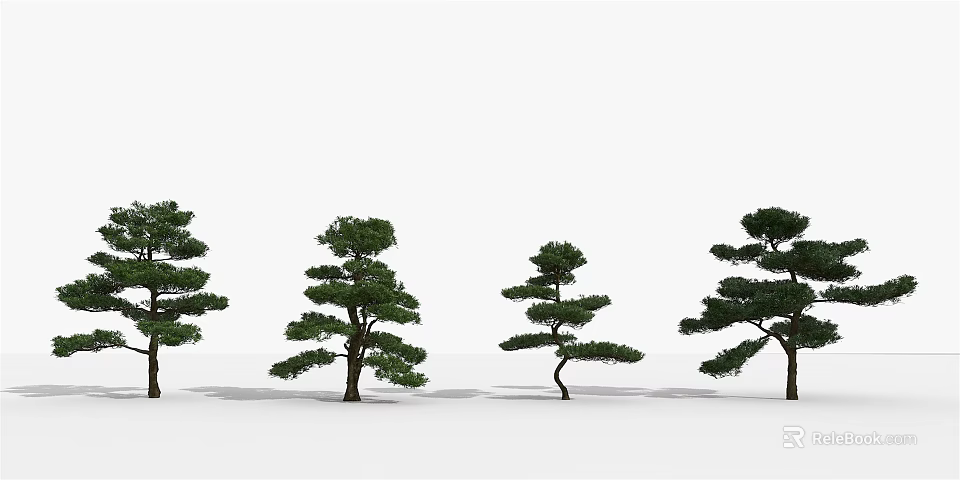 Different Shaped Pine Trees Arranged On White Background In A Row 3d model 