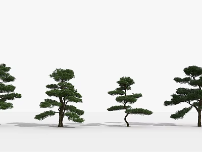 Different Shaped Pine Trees Arranged On White Background In A Row 3d model