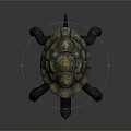 Realistic Detailed Dark Colored Turtle With Patterned Shell On Gray Background
