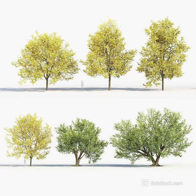 Arbor Trees With Yellow And Green Leaves For Garden Landscape Design 3d model 