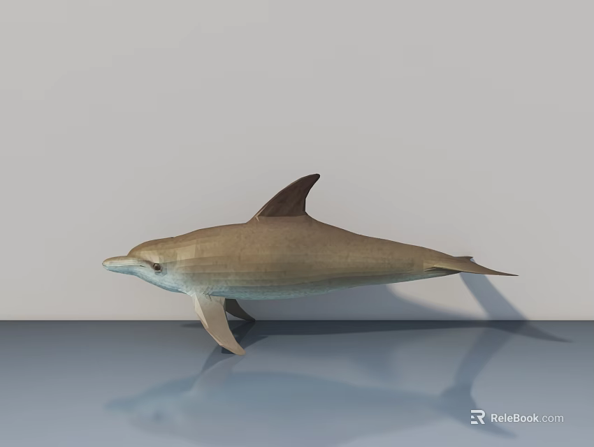 Light Brown Dolphin With Dorsal Fin On Light Blue Surface And Gray Background 3d model 