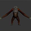 Realistic 3D Model of Ape with Red and Gray Fur Standing with Outstretched Arms
