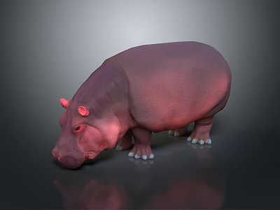 Realistic Pink Hippopotamus 3D Rendered Model With Dark Background And Reflection 3d model