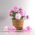 Pink Flowers In Wicker Basket With Scattered Blooms On Light Tabletop