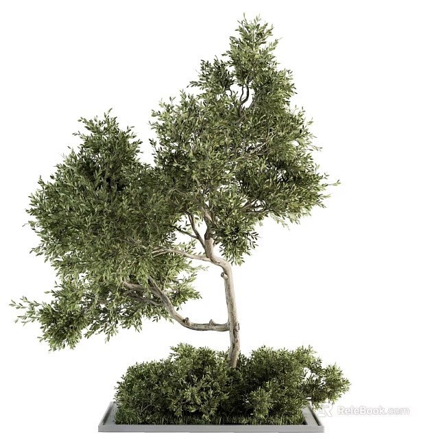 Decorative Tree Pit With Lush Green Foliage And Natural Design Elements 3d model 