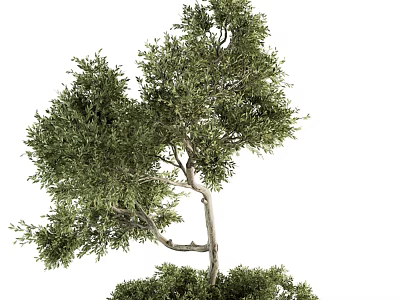 Decorative Tree Pit With Lush Green Foliage And Natural Design Elements 3d model