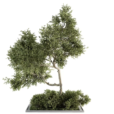 Decorative Tree Pit With Lush Green Foliage And Natural Design Elements 3d model
