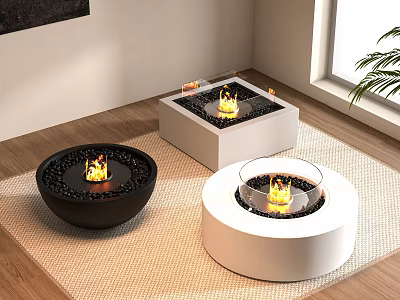 Indoor Fireplace Designs With Bowl Shaped Square Round Styles Black White Colors Burning Flames 3d model