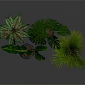 Indoor Plant Arrangement With Large Leaf And Palm Plants In Woven And Concrete Planters