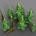 3D Model Collection of Green Pine Trees and Brown Tree Trunks 3d model