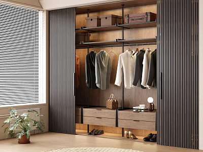 Modern Wooden Wardrobe Interior With Hanging Section Drawers Storage Boxes And Shoes 3d model