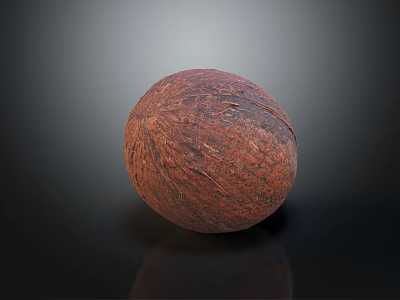 Brown Textured Coconut with Rough Surface on Black Reflective Background 3d model