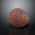 Brown Textured Coconut with Rough Surface on Black Reflective Background 3d model