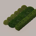 Well Trimmed Green Bushes And Hedges Arranged In Garden Landscape Design