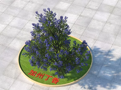 Beautiful California Lilac With Purple Flowers In Round Planter On Gray Paved Ground 3d model