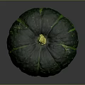 Green Pumpkin Plant With Green Stripes And Yellow Stem On Gray Surface