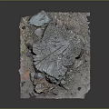 Wooden Tree Stump Decorative Piece With Natural Stone Elements And Textured Base