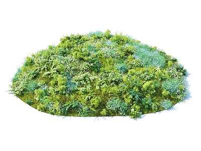 Lush Mixed Shrubbery With Diverse Green Foliage And Vibrant Plant Varieties 3d model