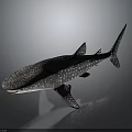 Detailed Whale Shark 3D Rendering With Spotted Skin Pattern And Lifelike Underwater Creature Features