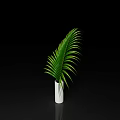 Elegant White Vase With Fresh Green Palm Leaves On Black Background