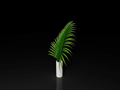 Elegant White Vase With Fresh Green Palm Leaves On Black Background 3d model