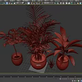 Various Green Potted Plants With Palm Large Leaf And Small Plant In Dark Pots
