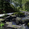 Serene Waterfront Landscape With Bamboo Forest Stream Stones And Wooden Fence