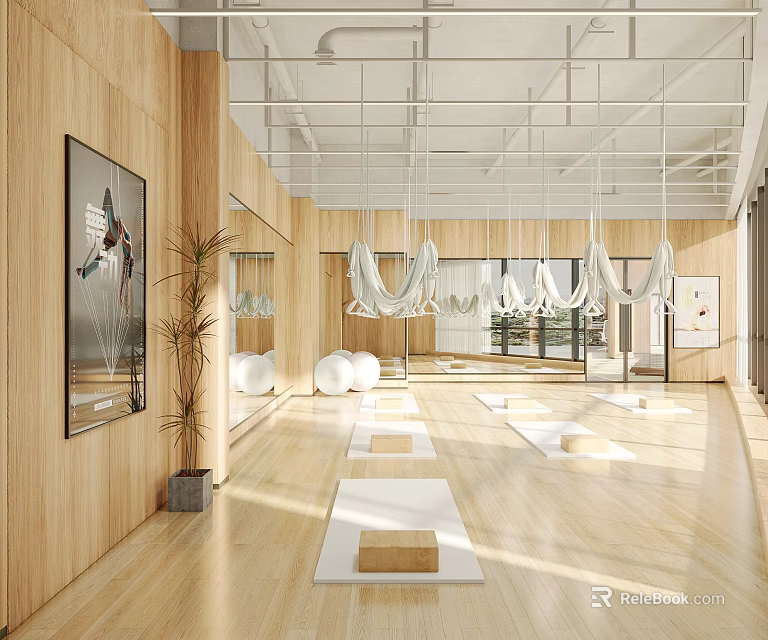 Spacious Yoga Studio Interior With Mats And Hammocks 3d model 