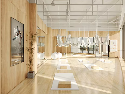 Spacious Yoga Studio Interior With Mats And Hammocks 3d model